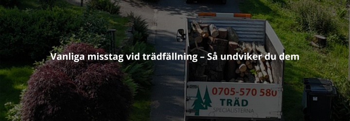 Vanliga misstag vid trädfällning – Så undviker du dem